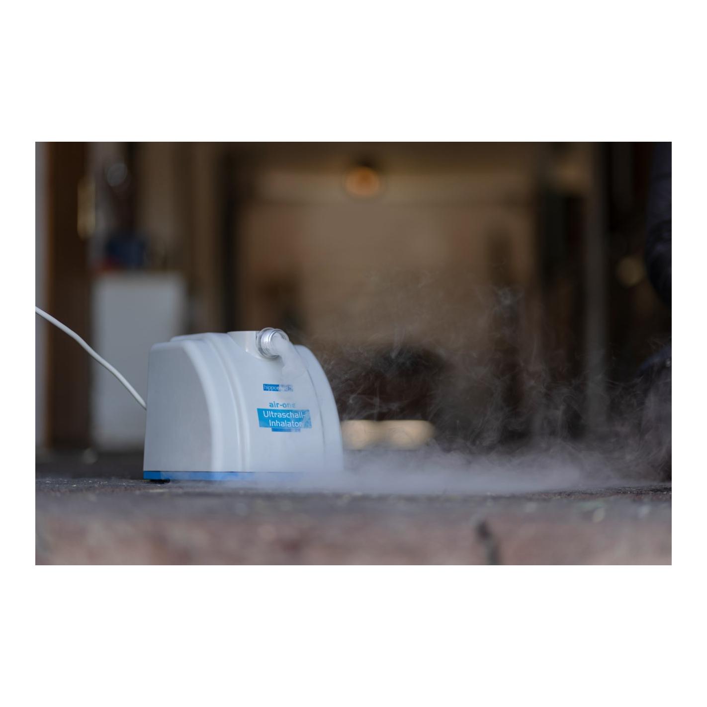 Ultraschall-Inhalator für Pferde AirOne