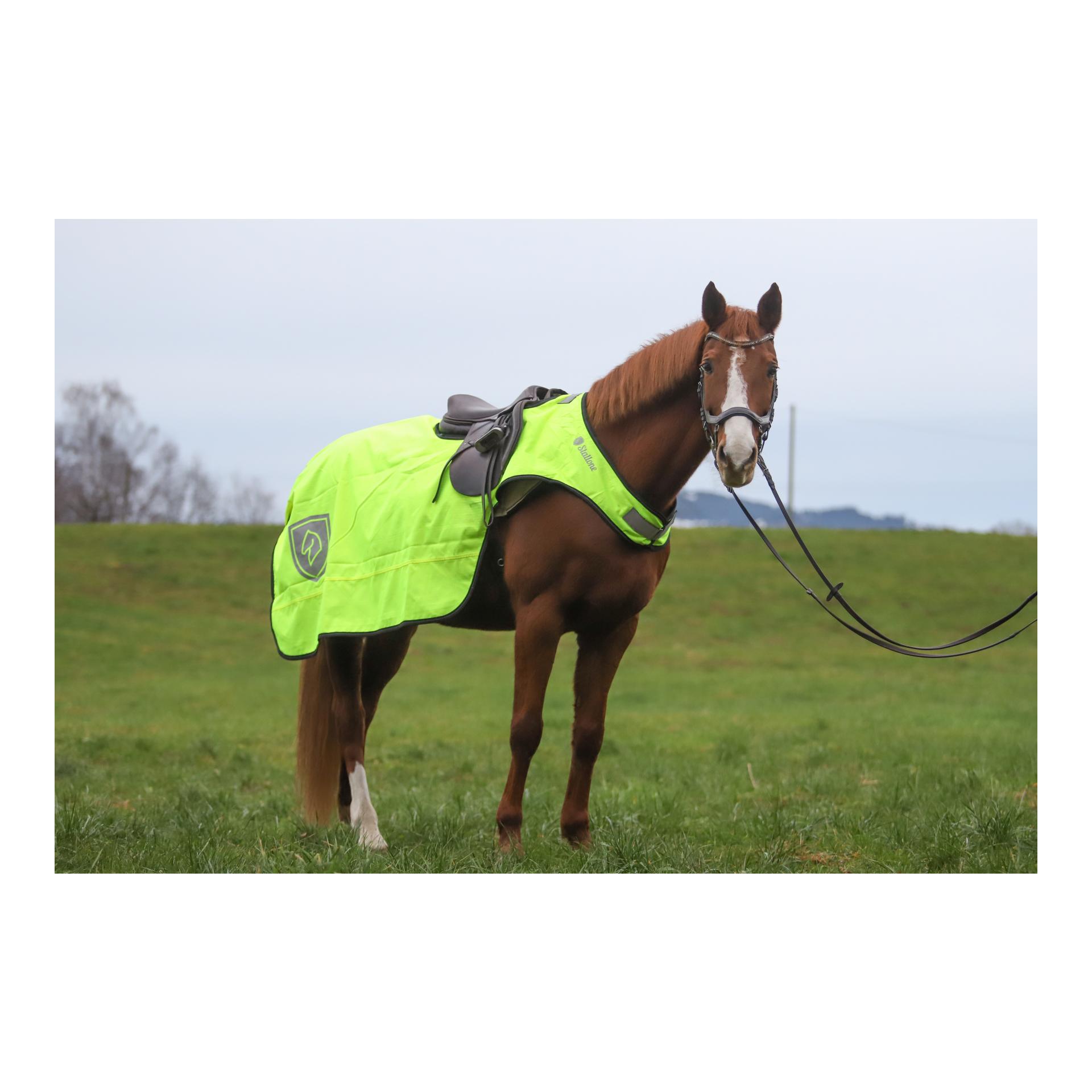 Decken-Set Outdoor Adventure Walker Rug & Ausreitdecke Deluxe 