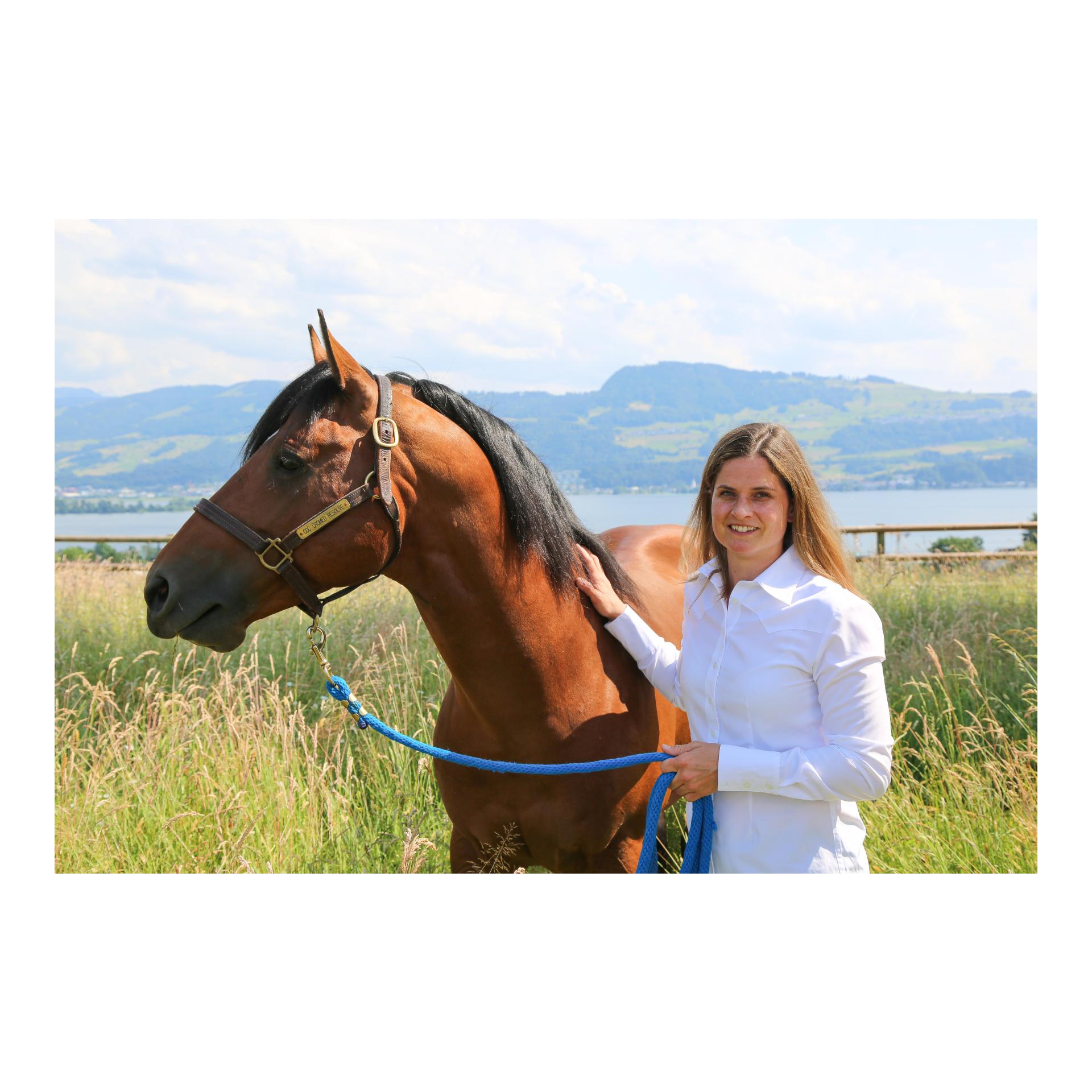 Buch Geheimnis wahrer Reitkunst