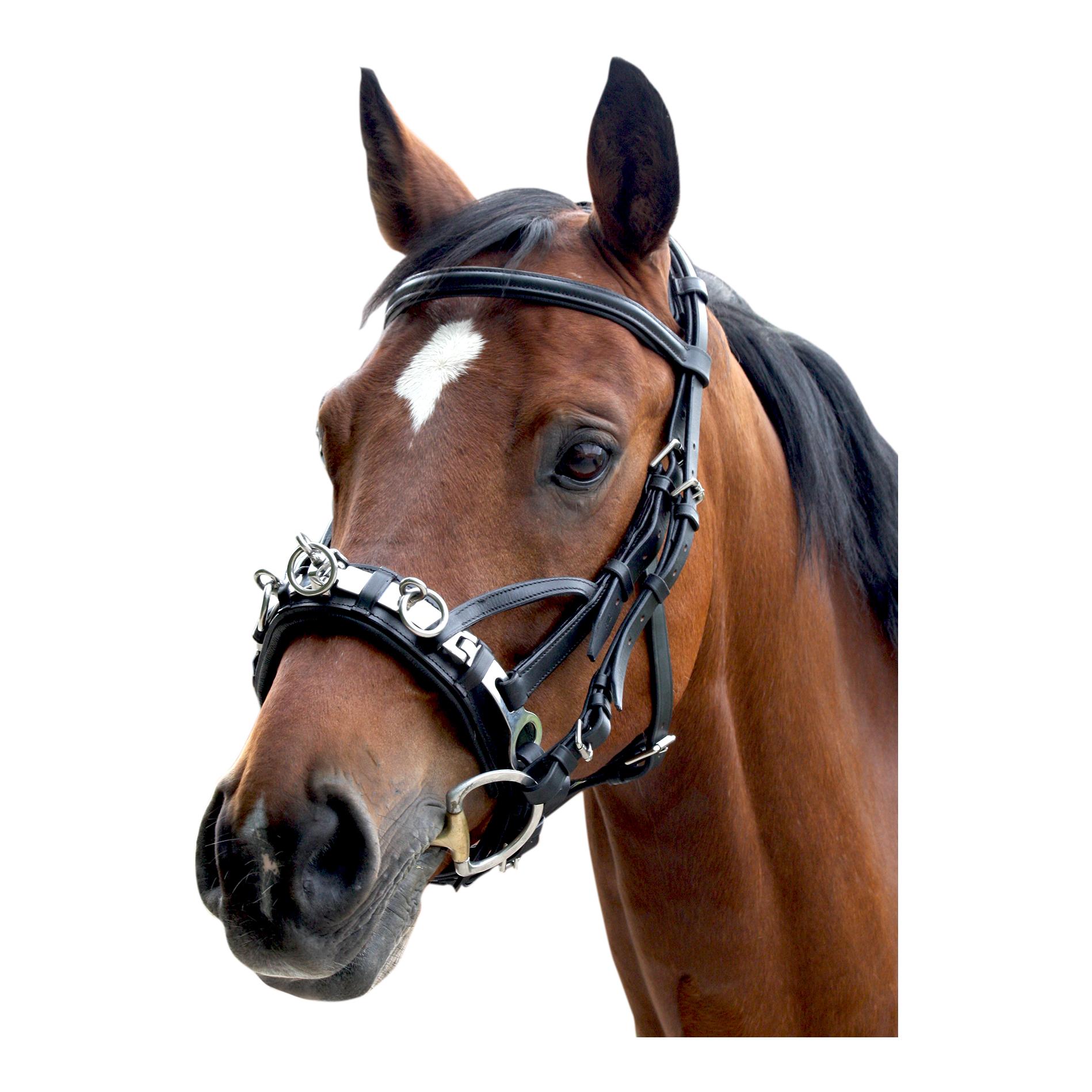 Kappzaum aus Leder