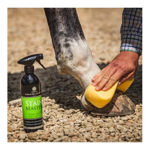 Stainmaster Stainmaster