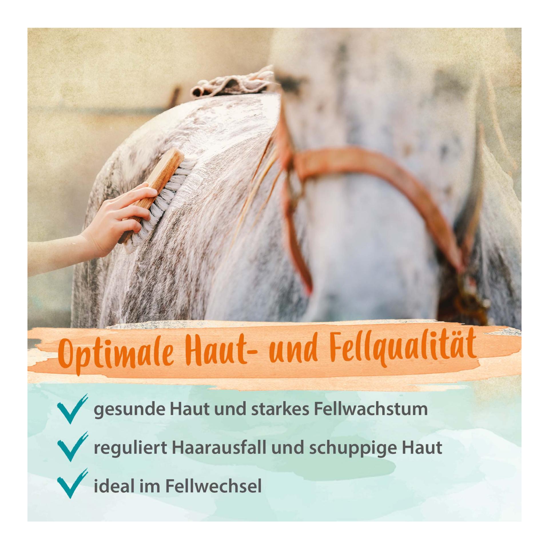 Biotin + Zink für Pferde - hochdosiert - verbessert Hufqualität & Hufwachstum 