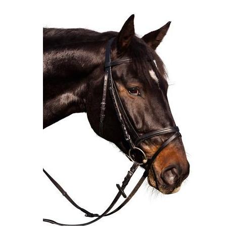 Trensenzaum Standard