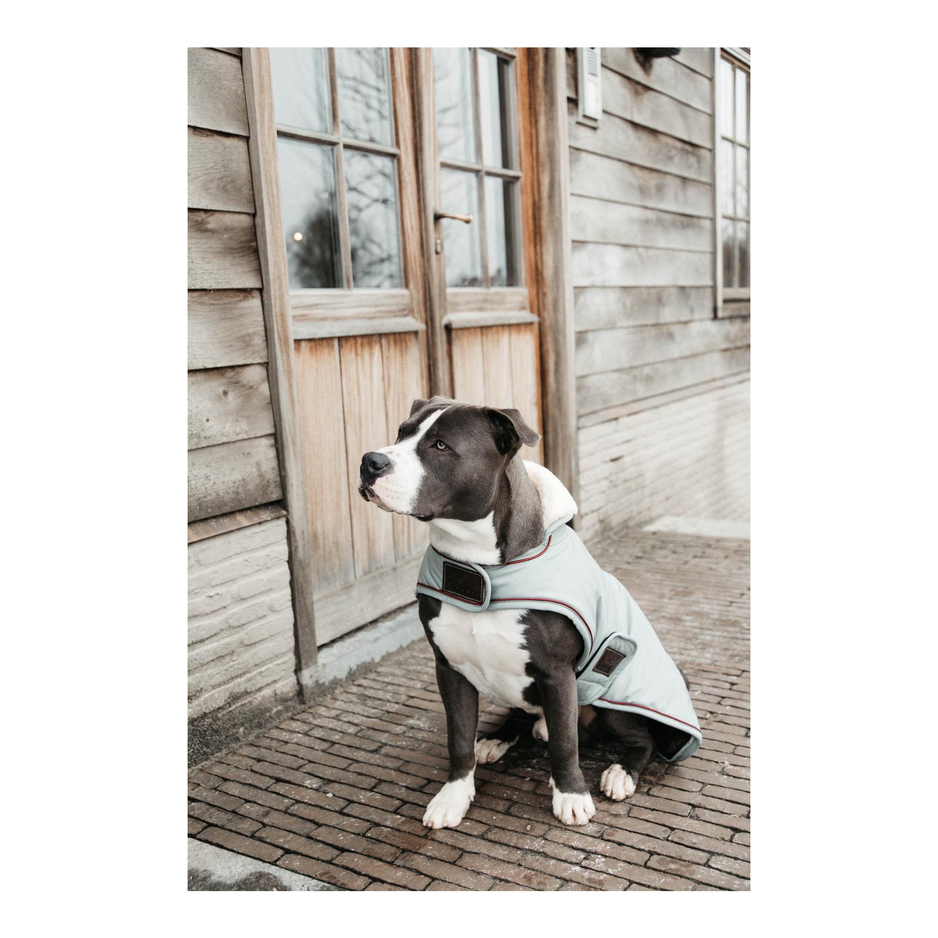 Hundemantel Wasserdicht 160g - Dusty Blue