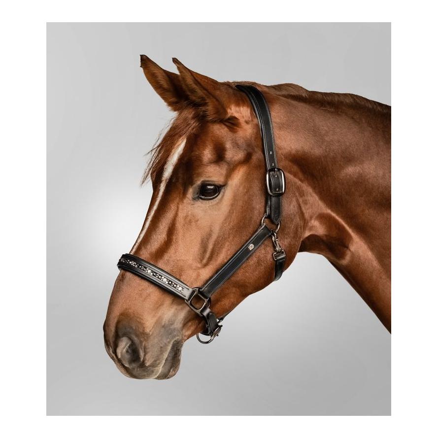 Lederhalfter Crystal