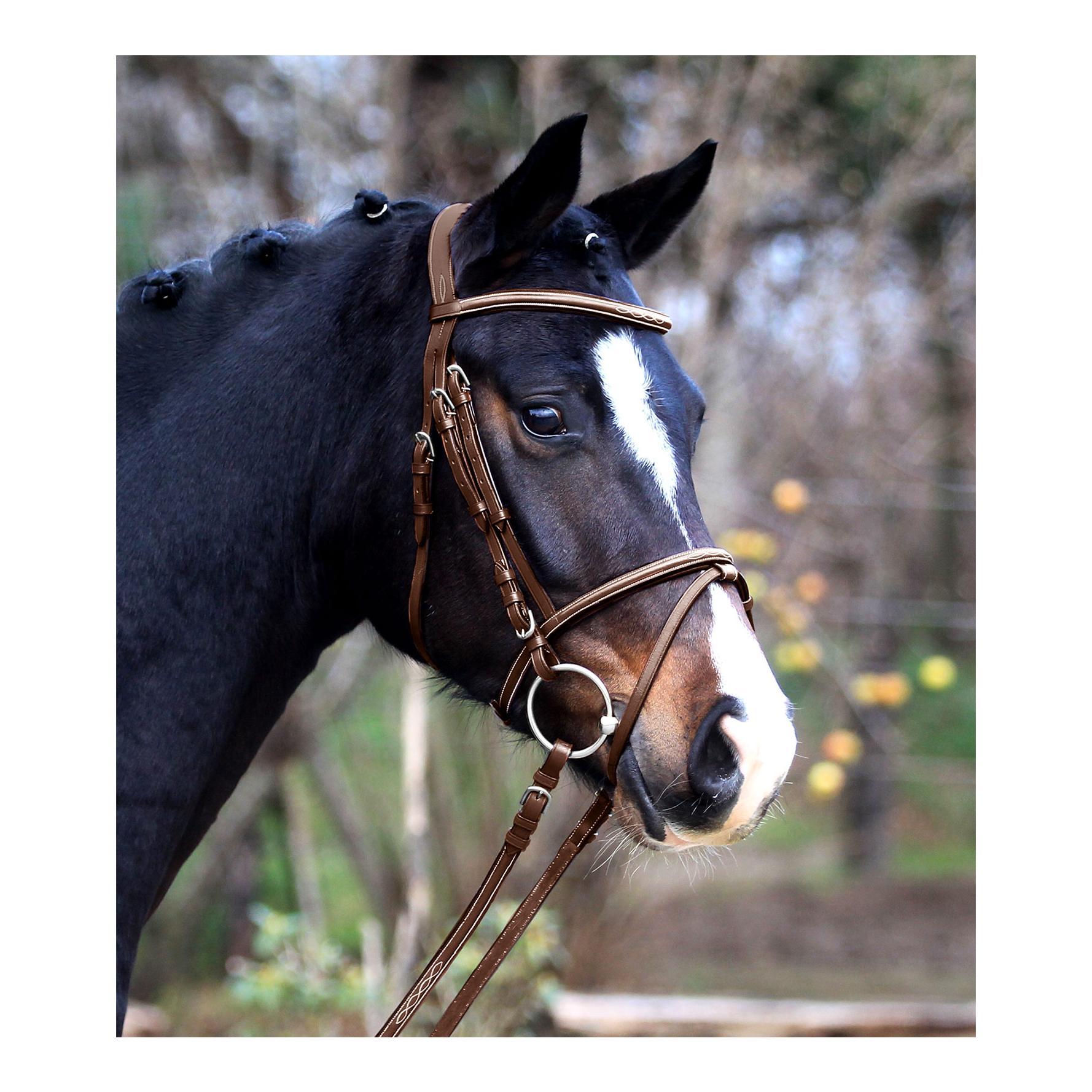 Trensenzaum Santander engl. komb.