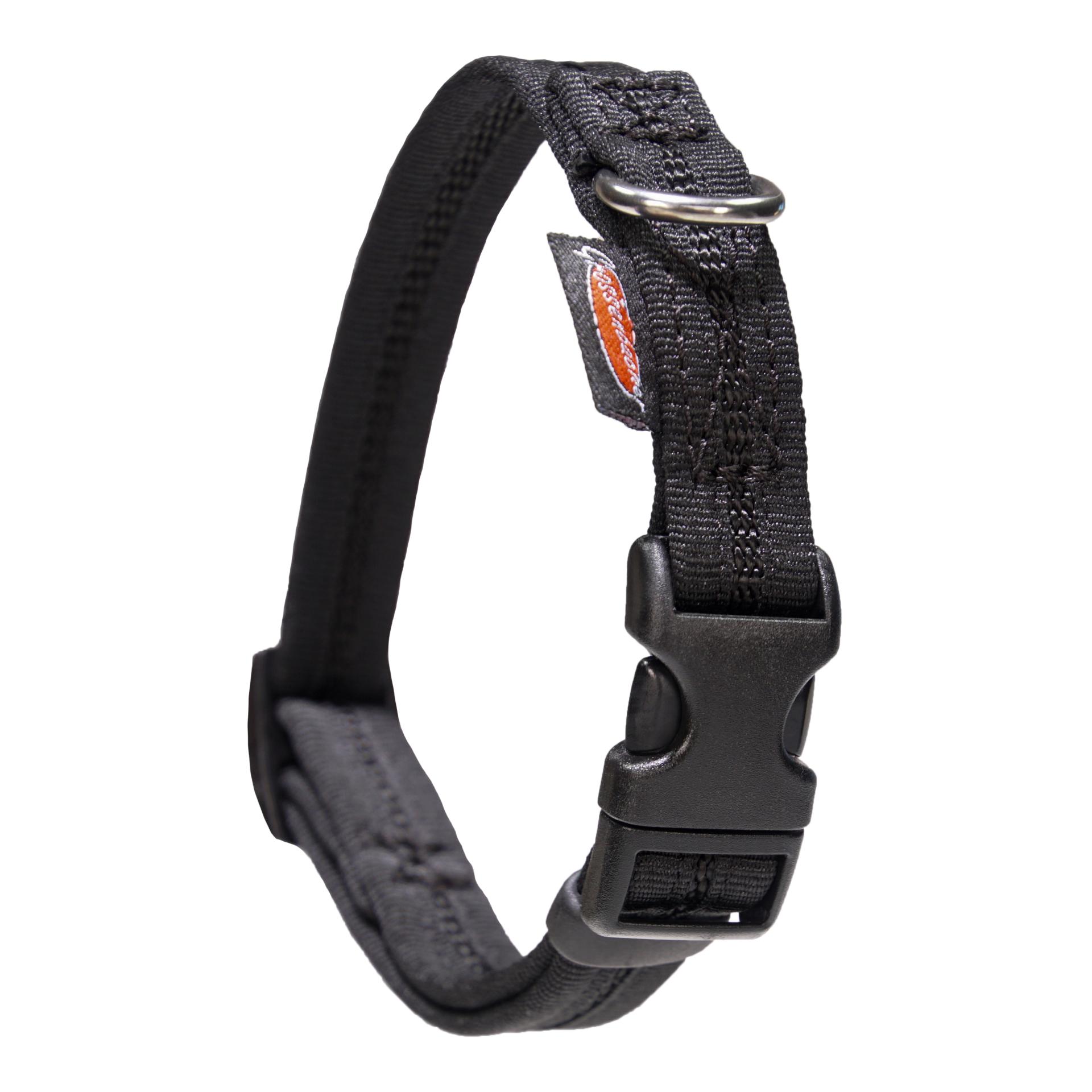 Beat Grossenbacher Halsband eingefasst, direkt