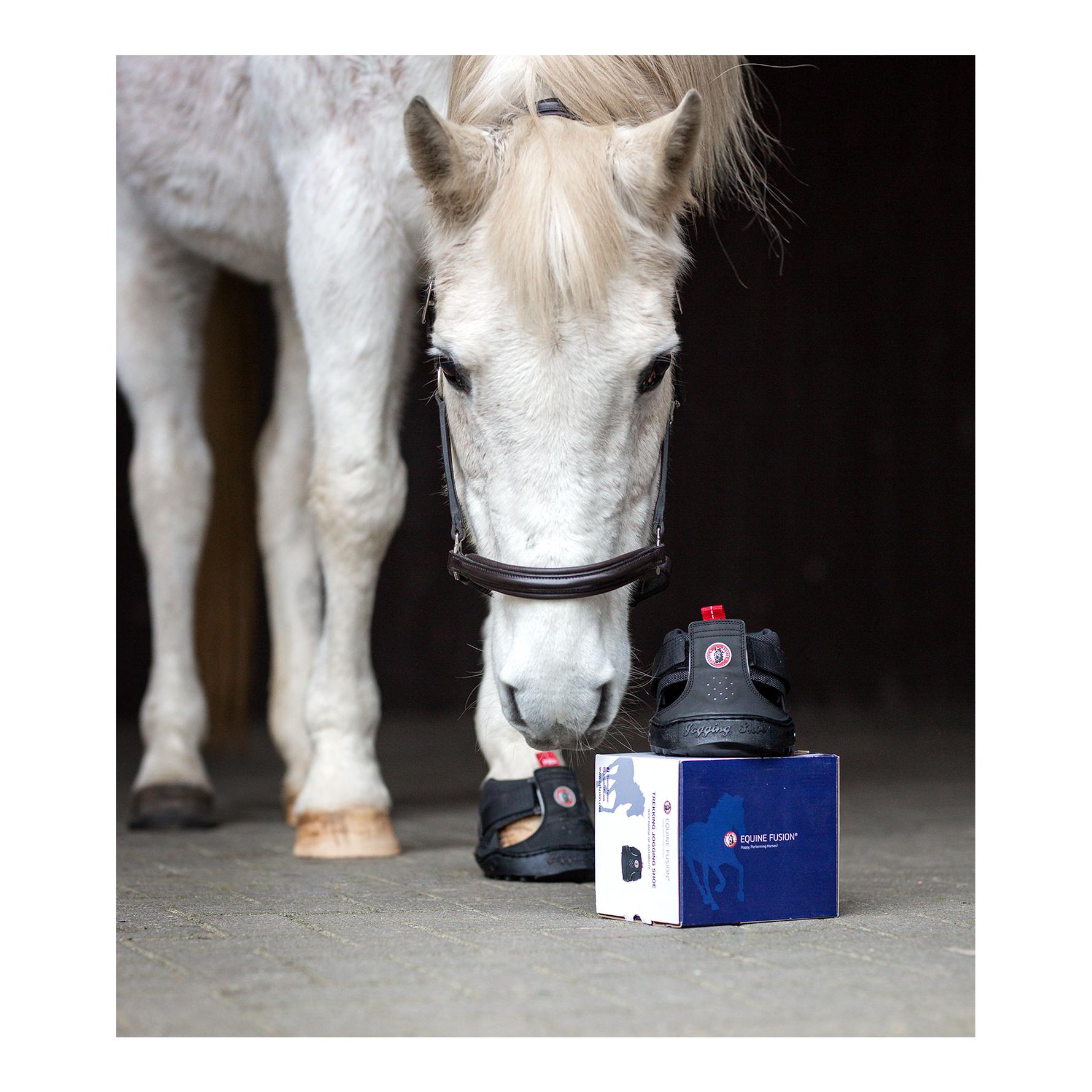 Equine FusionTrekking Shoe Slim