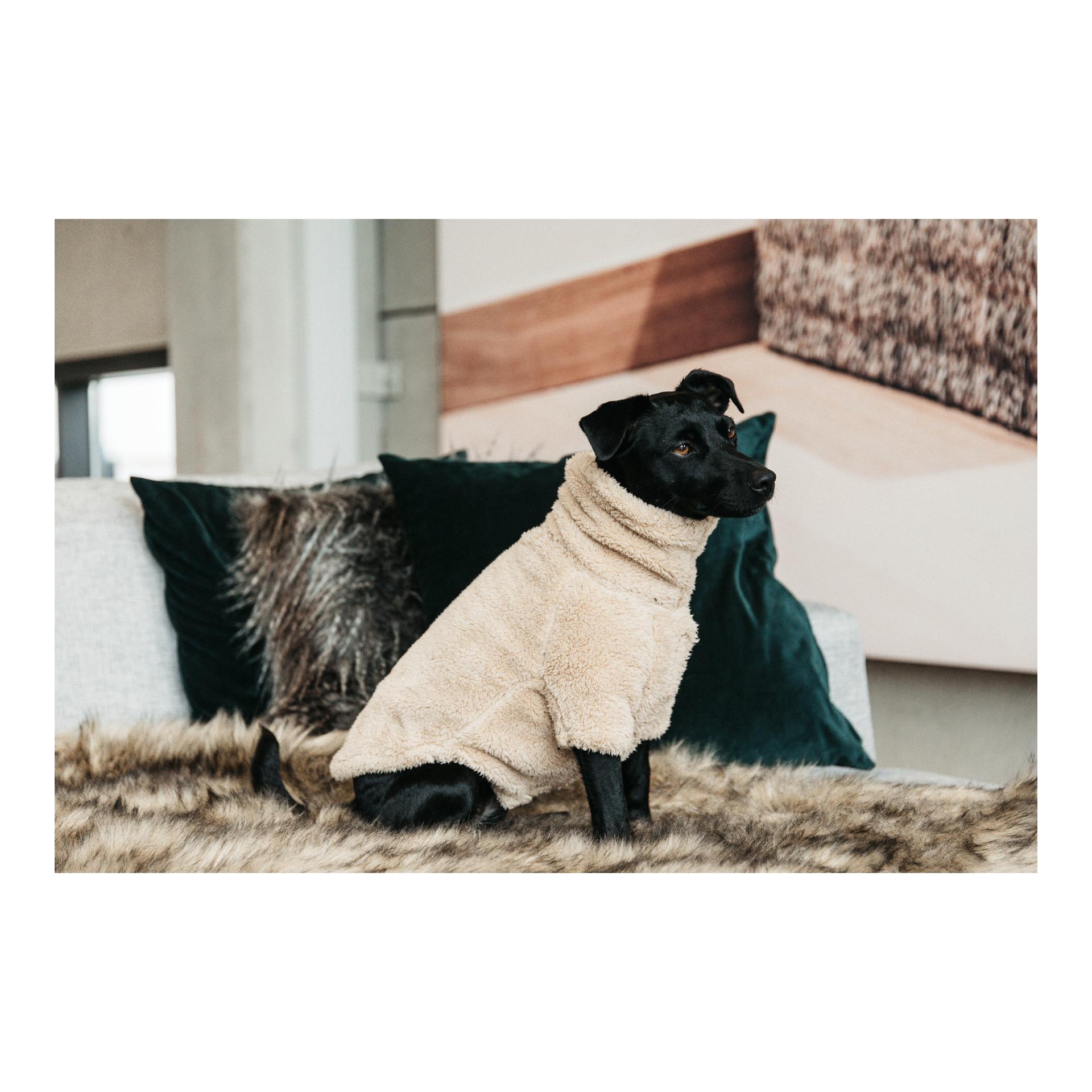 Hundepullover Teddy Fleece - beige