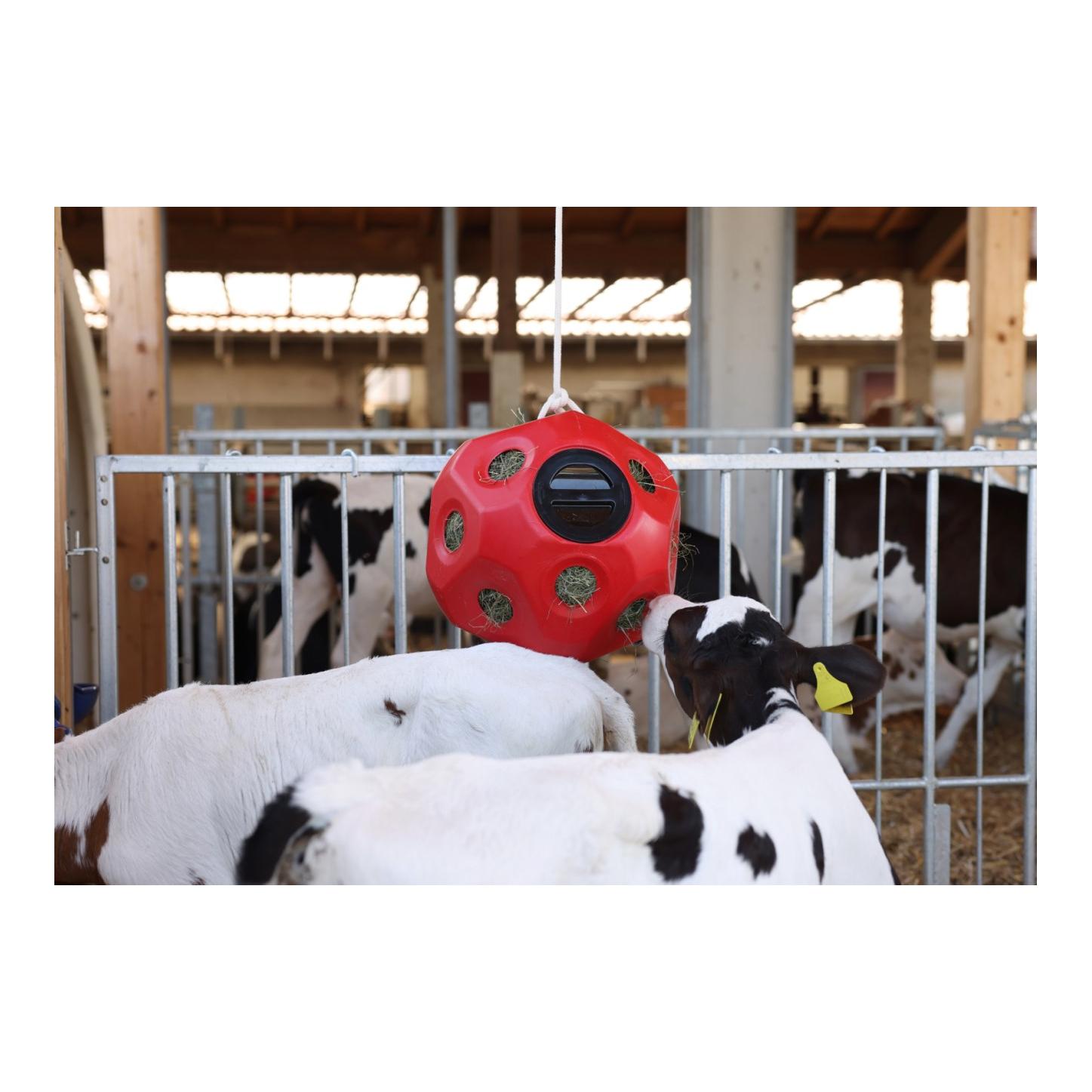 HeuBoy Futterspielball - rot