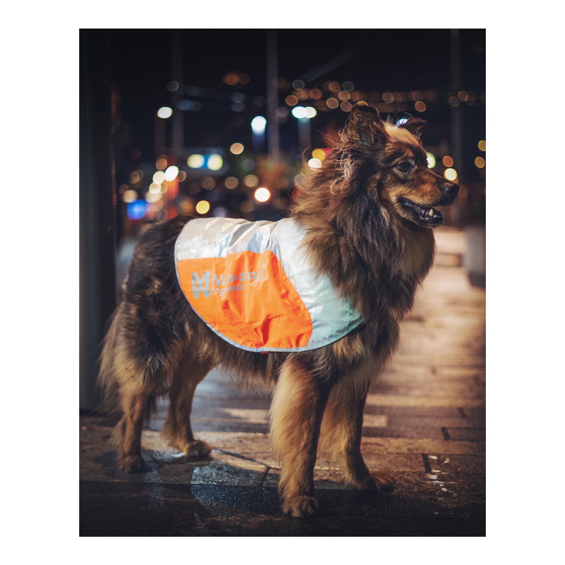 Reflective Vest