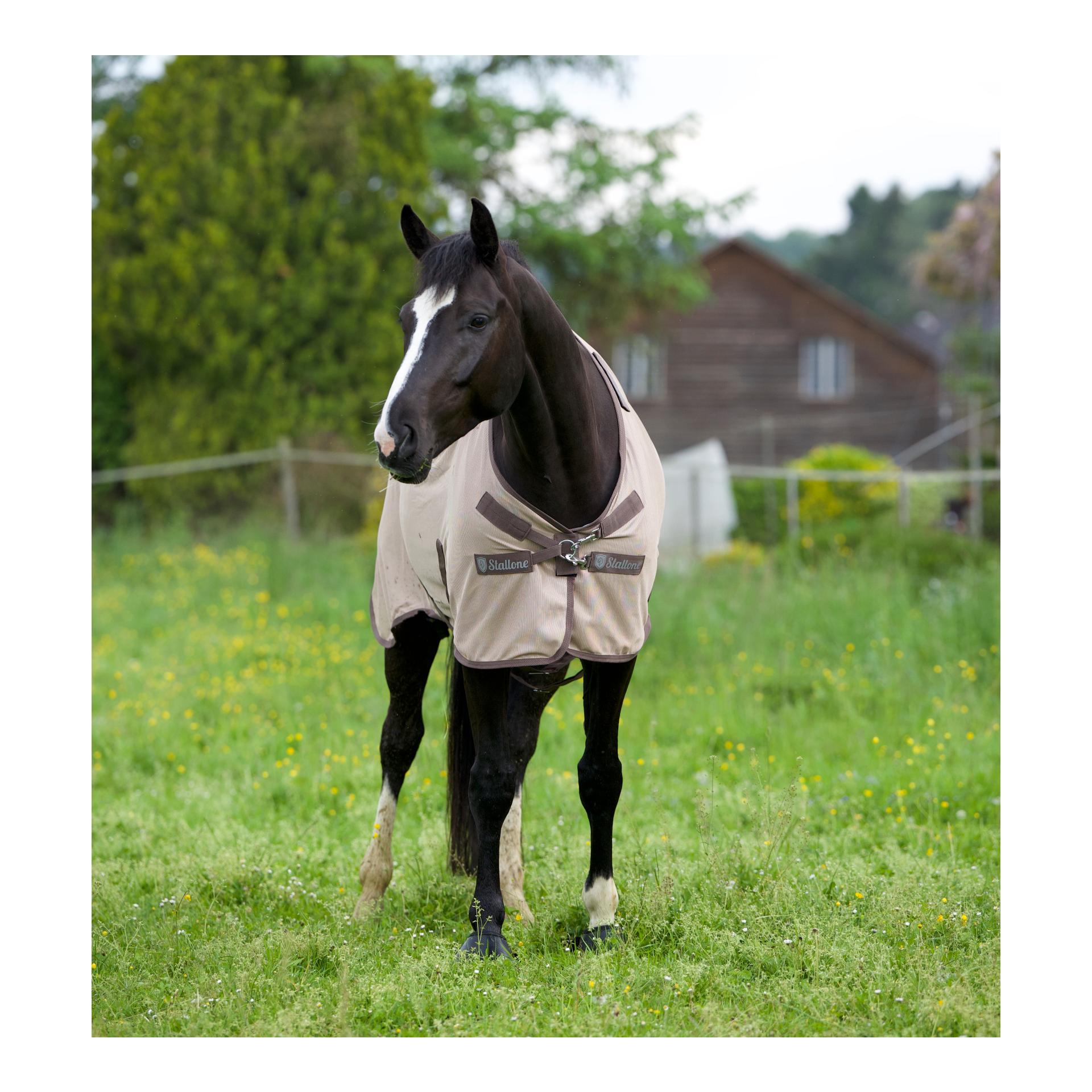 Fliegendecke Flybuster