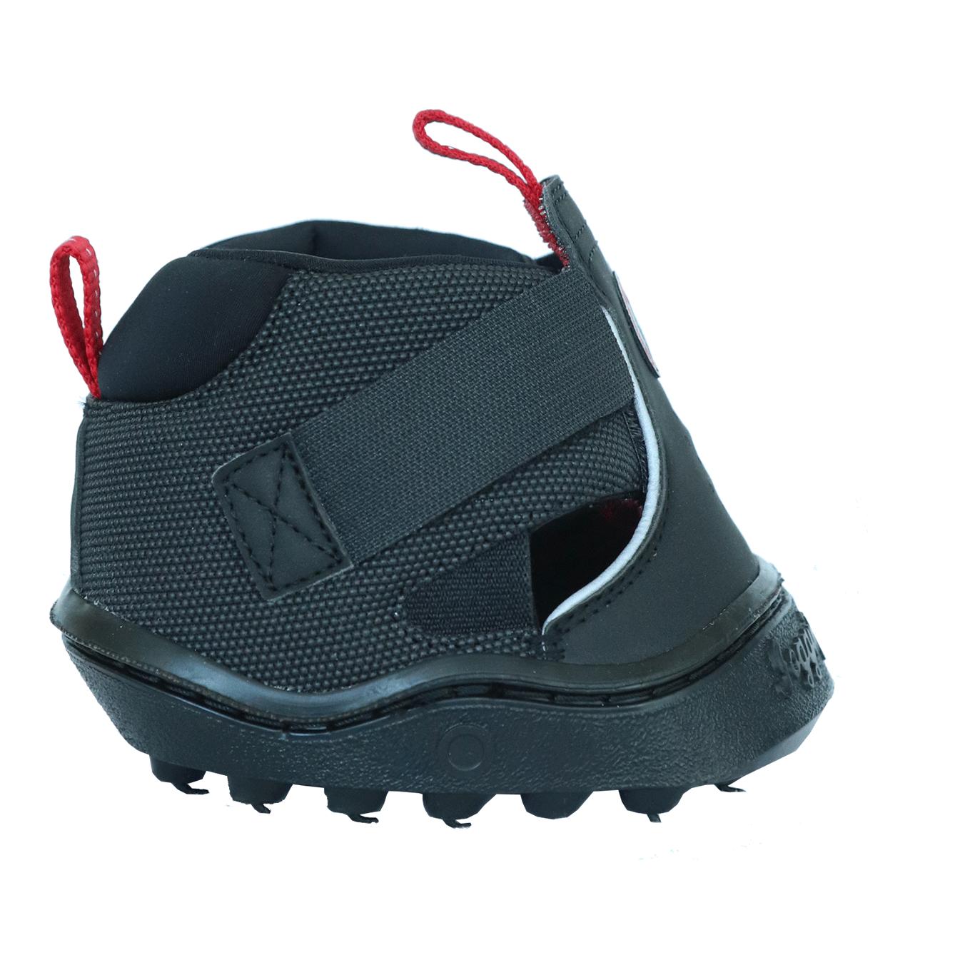 Equine Fusion Trekking Shoe Regular