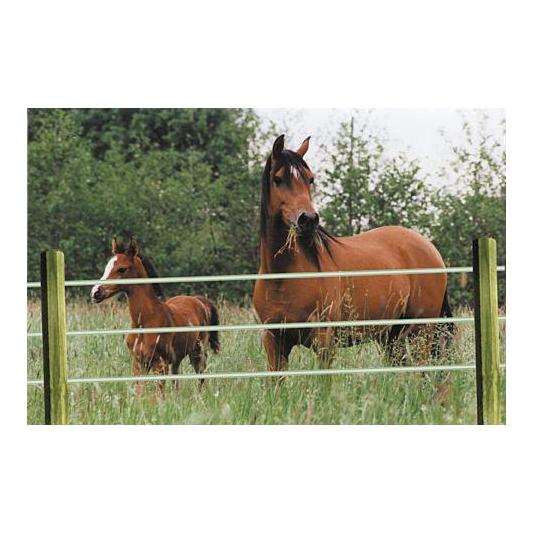 Octo Wood - Streckenpfahl - holz