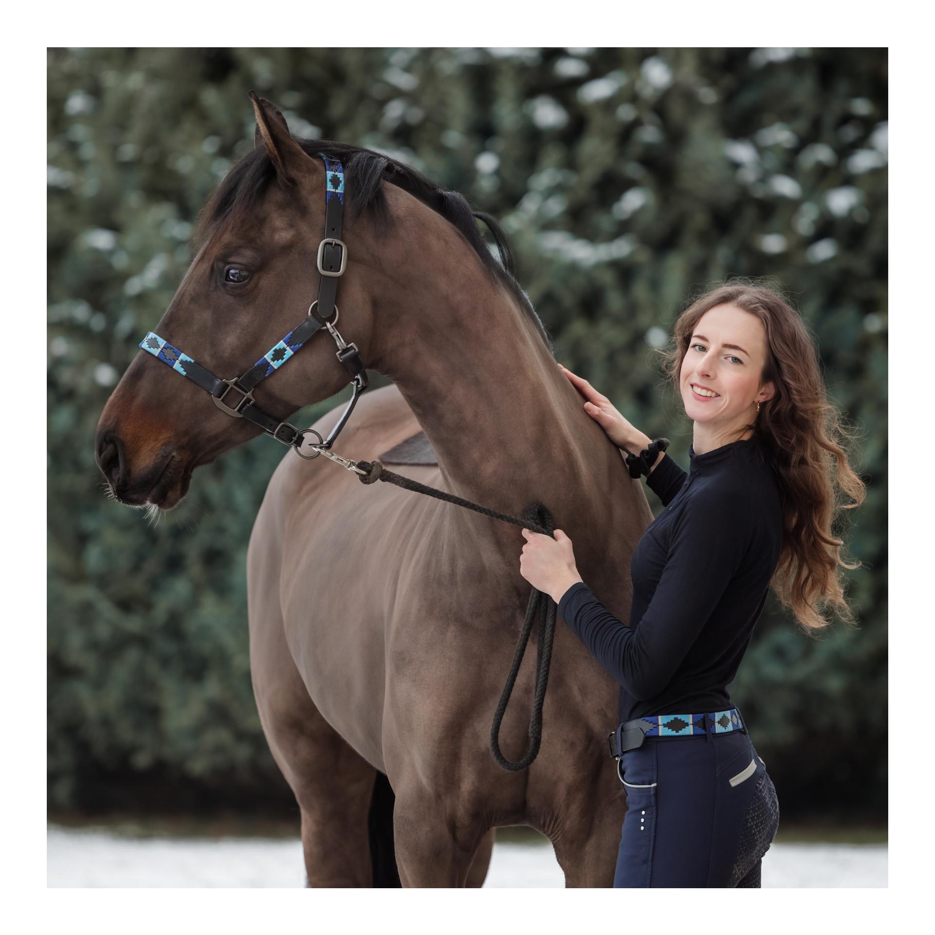 Lederhalfter Colorfun