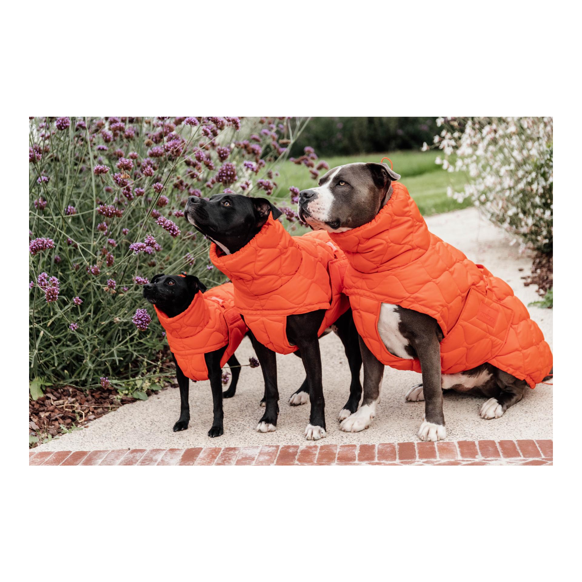 Hundemantel Pina - 160g