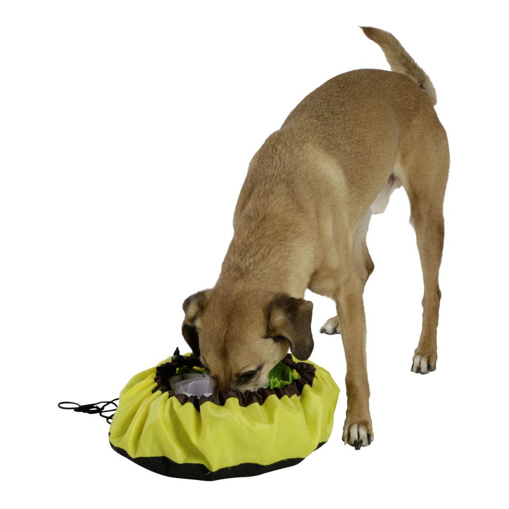 Schnüffelteppich Bowl - gelb/grün/weiss