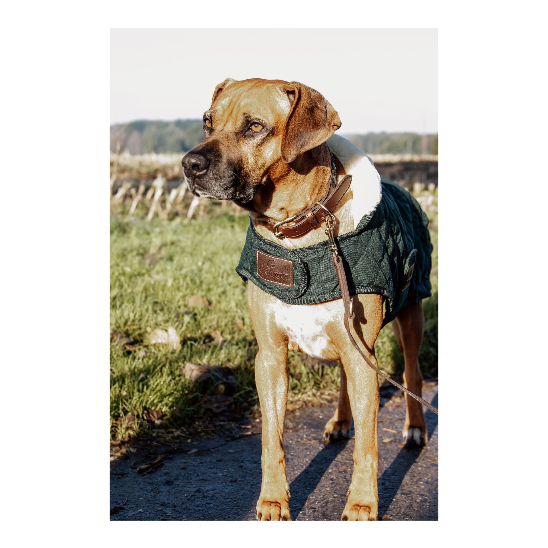 Hundemantel Original - dark green
