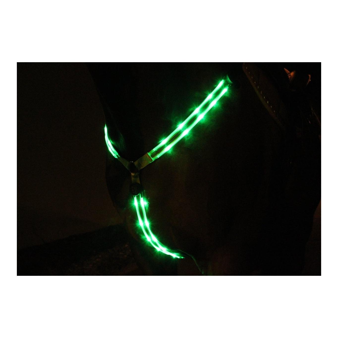 Animal Light LED Leuchtvorgeschirr 2.0 - grün
