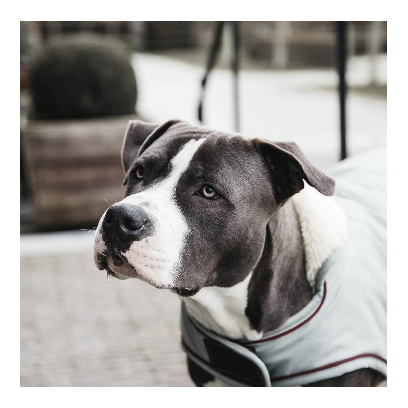 Hundemantel Wasserdicht 160g - Dusty Blue