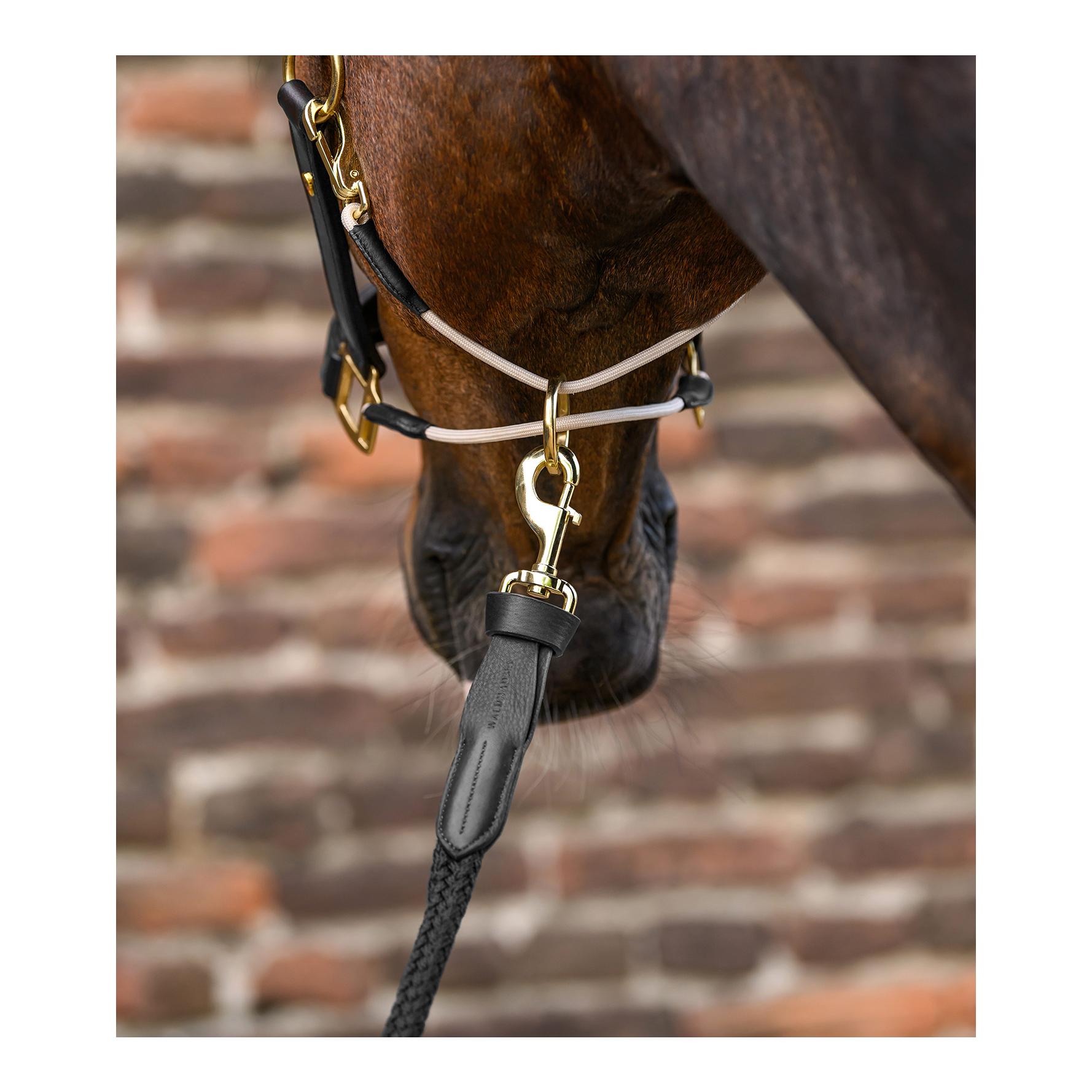 Führstrick Royal Lederdetails mit Karabinerhaken