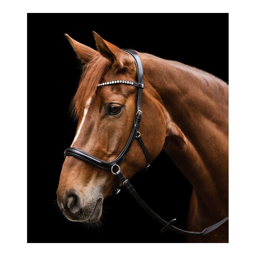 Trensenzaum X-Line Gebisslos Sensation