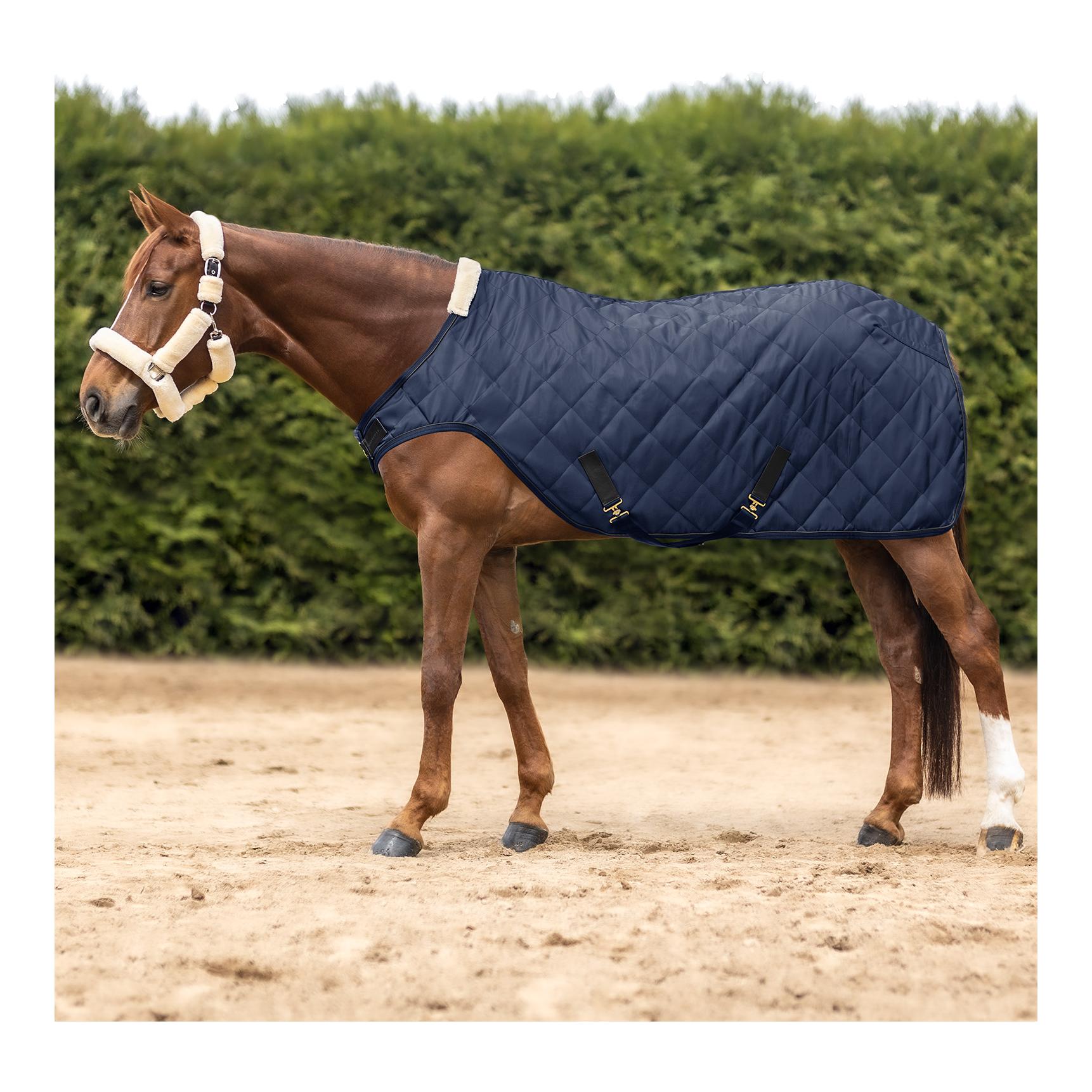 Führmaschinendecke Exclusive