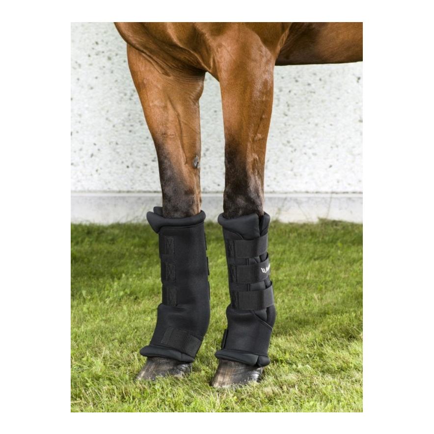 Stallgamaschen Royal - schwarz
