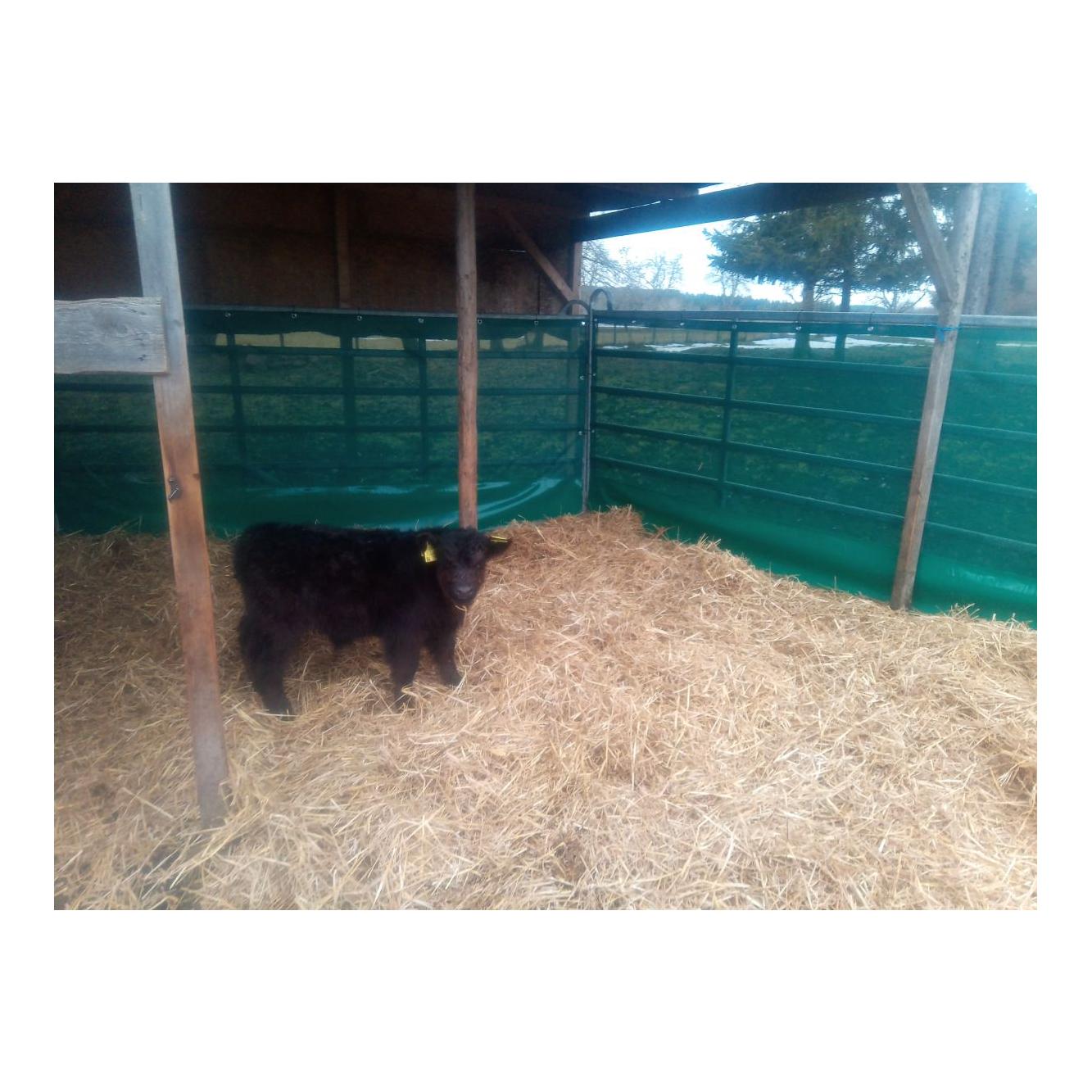 Windschutznetz für Weidepanels