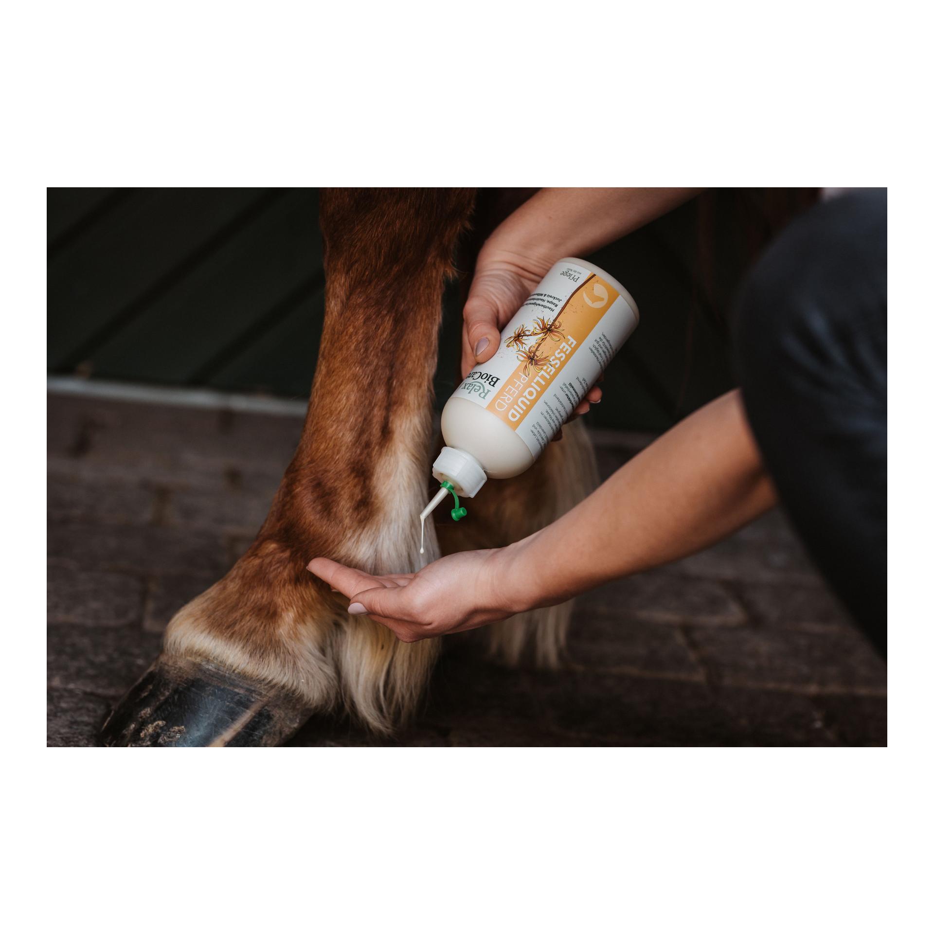 Fesselliquid für Pferde