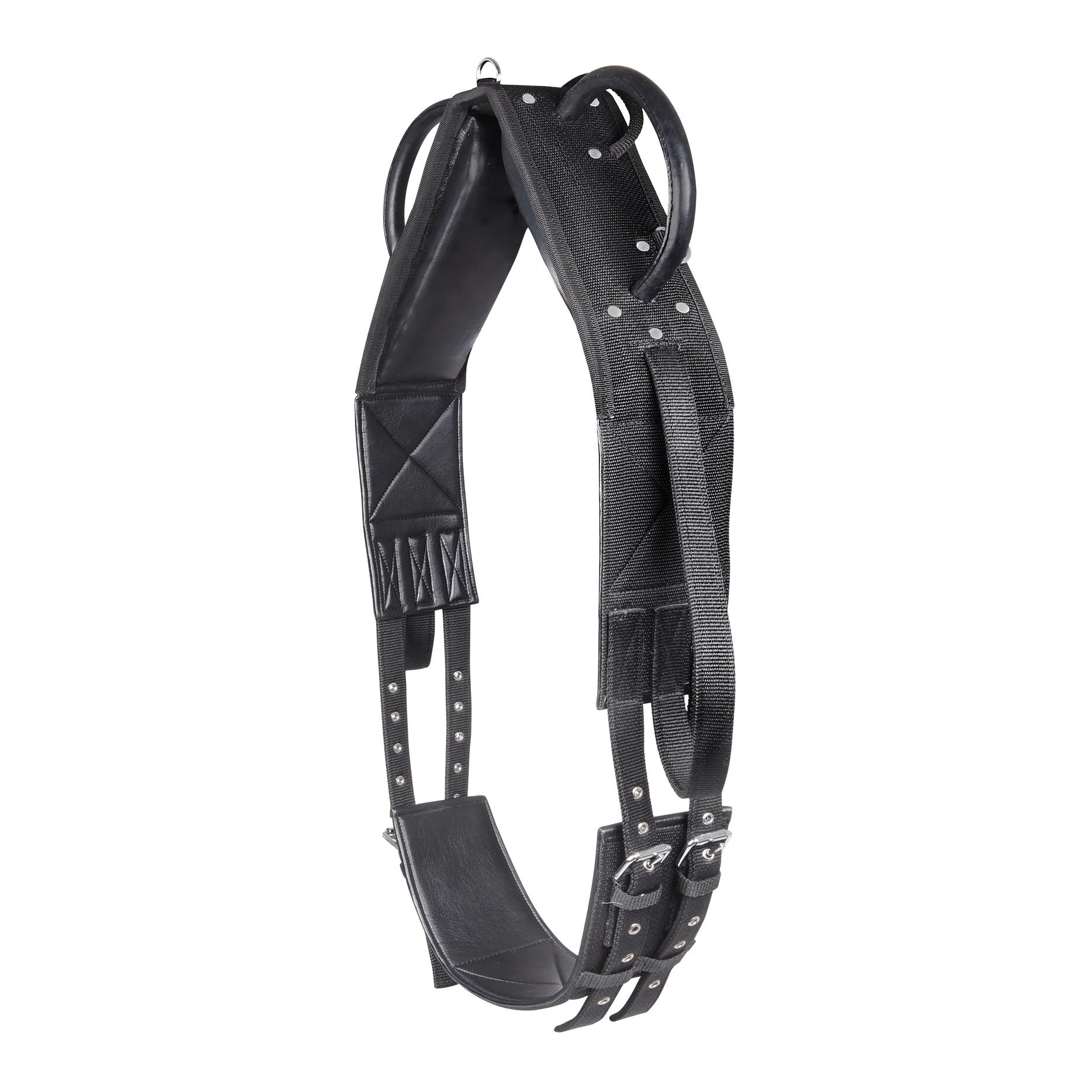 Longier- und Voltigiergurt Synthetik