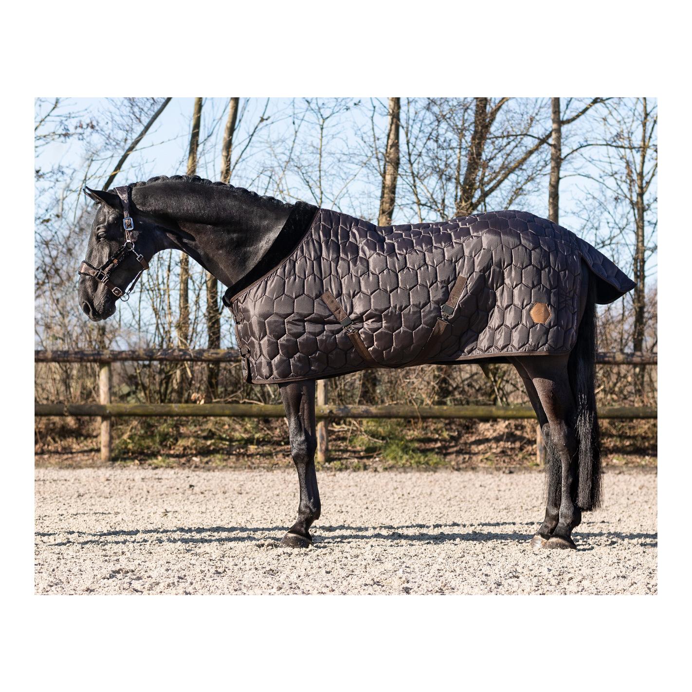 Stalldecke Classy Stalldecke Classy